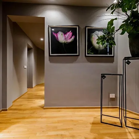 Casa Dalmazia Elegant Parquet In The Center Metro & Highway